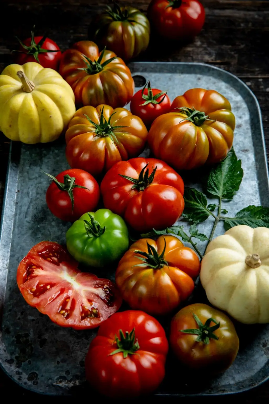 עגבניות סופי. צילום אדמה מכתשים